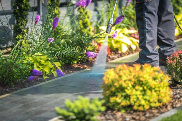 Best Animal Enclosure Cleaning  in La Habra, CA